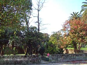 Quinta do Covelo