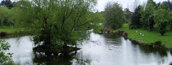 Parque da Cidade