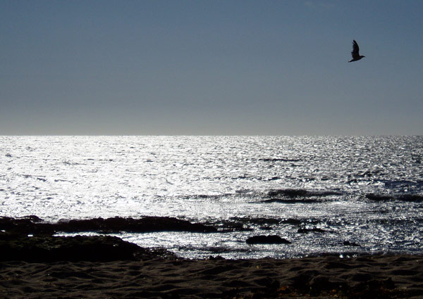 junto ao mar, a Norte