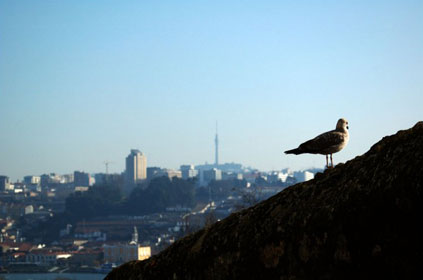 Porto + Gaia