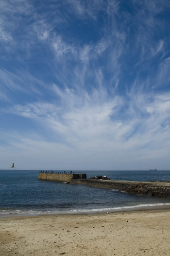 Foz