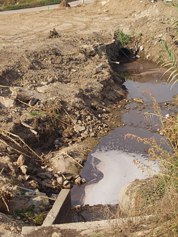 Em Leça da Palmeira