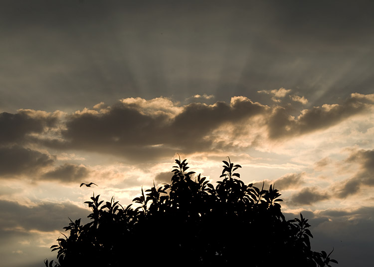 Céu visto da Fontinha
