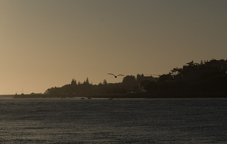 Foz, vista de Gaia