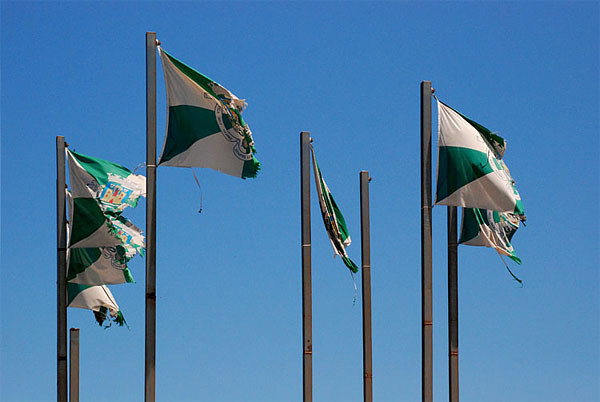 Bandeiras Bandeiras