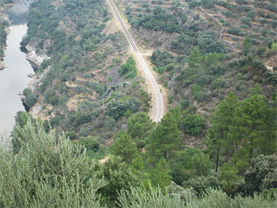 Tua